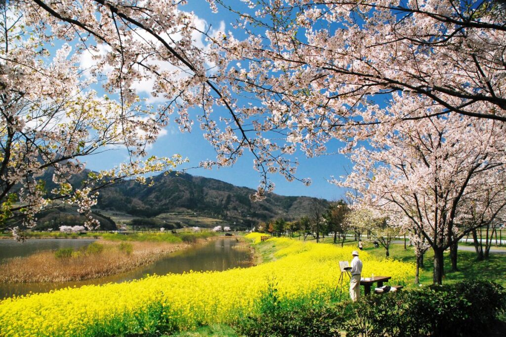 Uwasekigata park