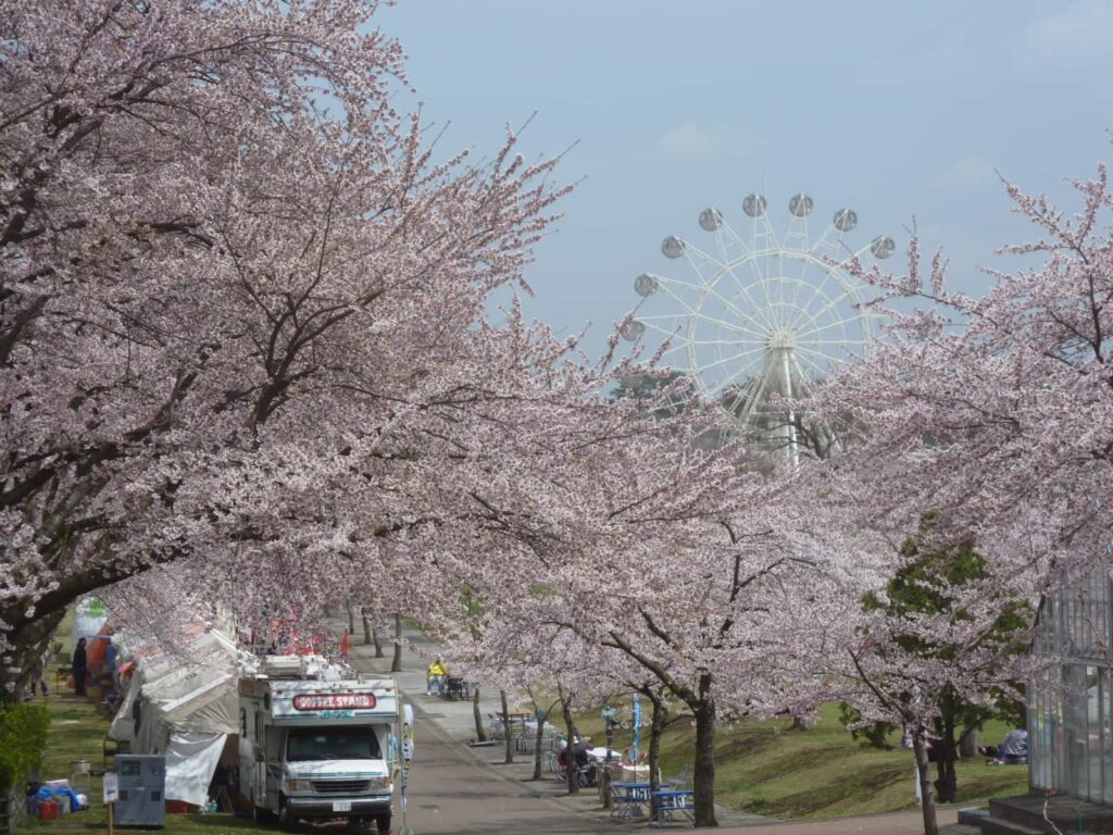 Hachinohe Park