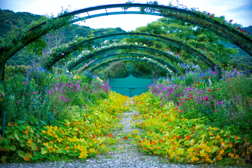 Kitagawa village Monet's Garden