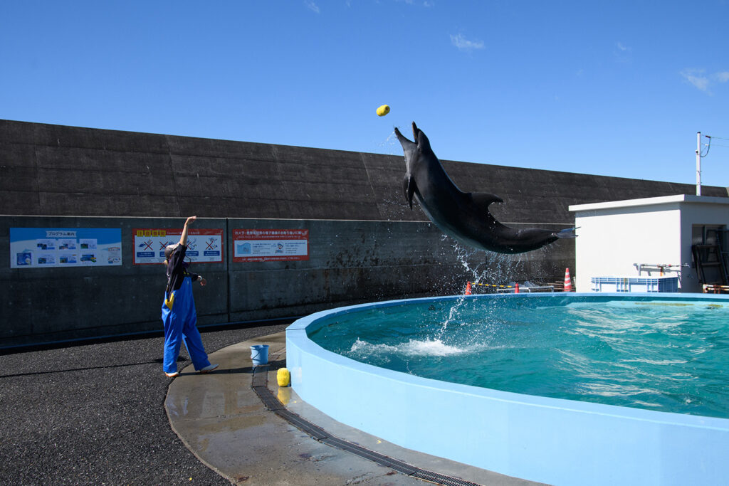 Muroto Dolphin Center