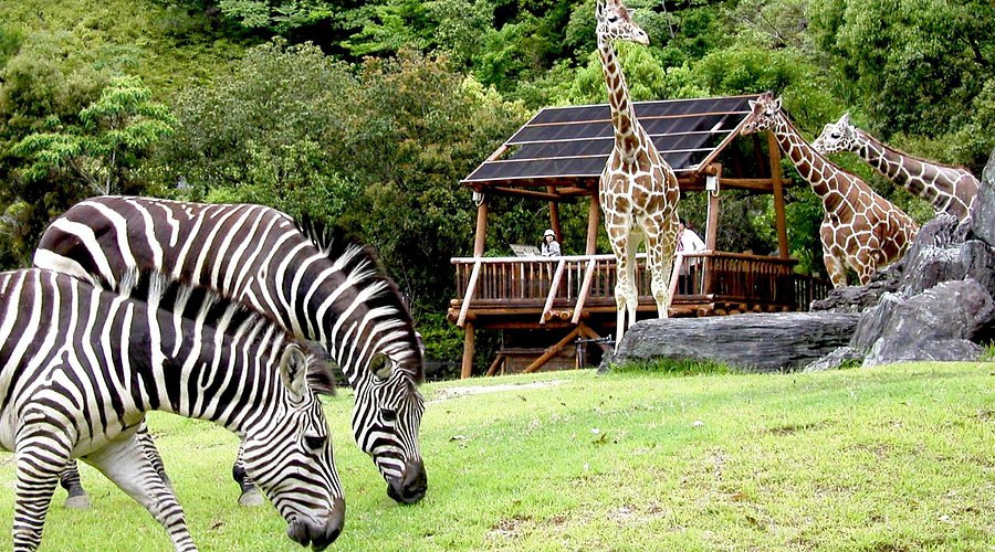 Noichi Zoological Park