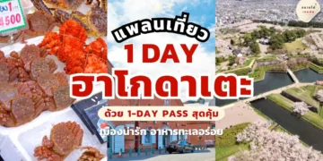 hakodate one day trip