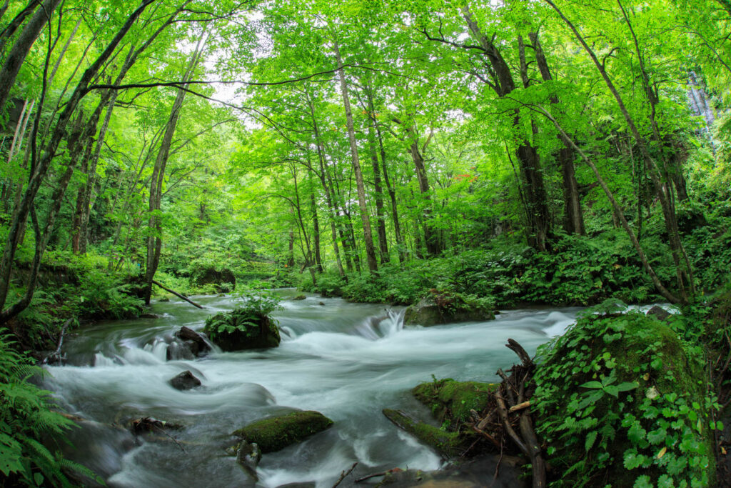 Oirase Gorge