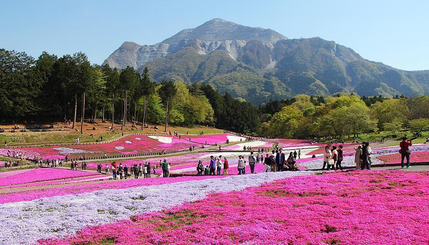 สวนฮิสึจิยามะ
