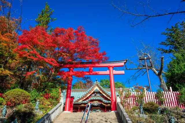 Takaosan Yakuou-in Temple