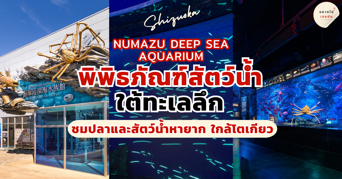 Numazu Deep Sea Aquarium