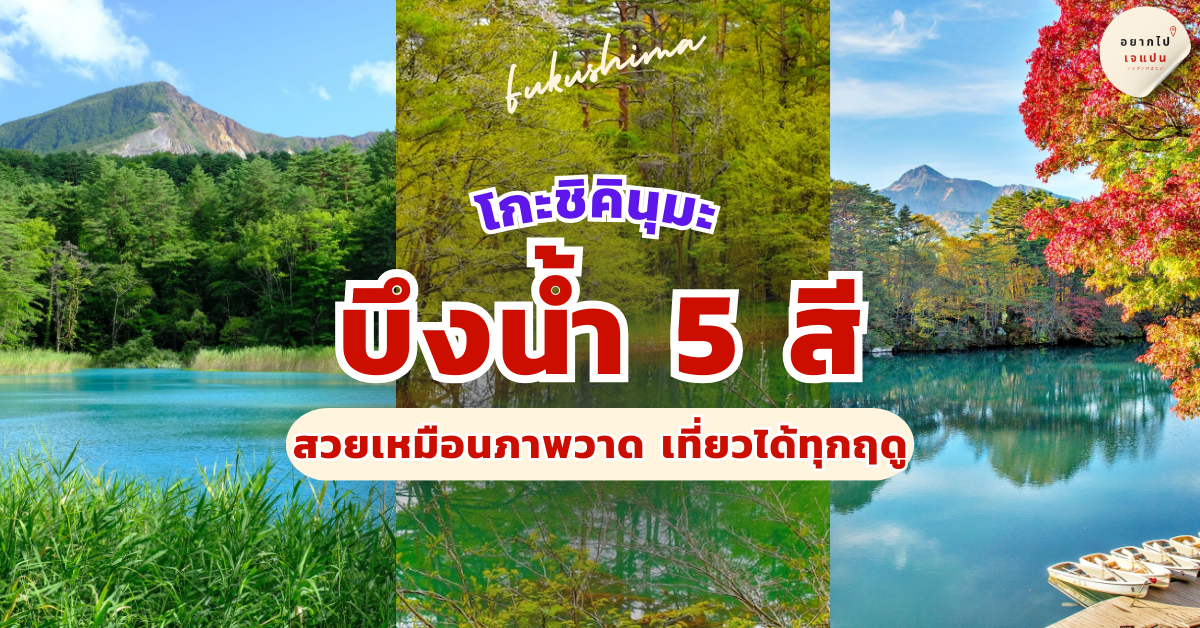 โกะชิคินุมะ