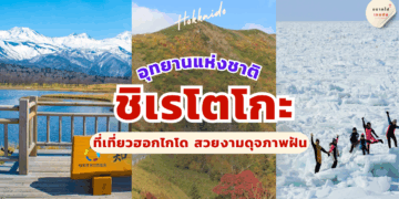 ชิเรโตโกะ