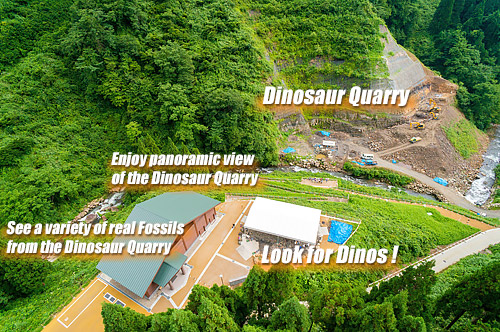 Fukui Prefectural Dinosaur Museum