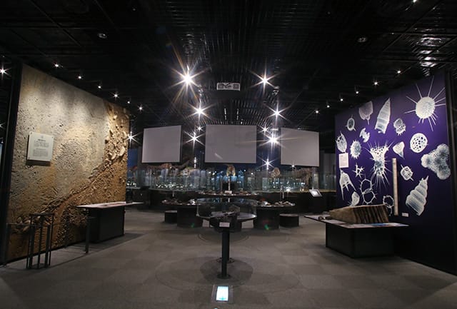 Fukui Prefectural Dinosaur Museum