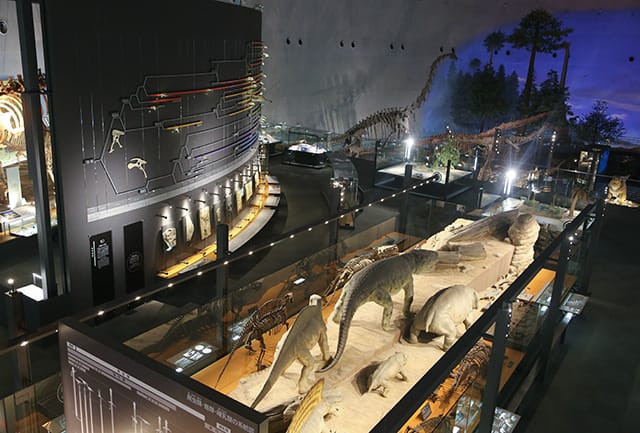 Fukui Prefectural Dinosaur Museum