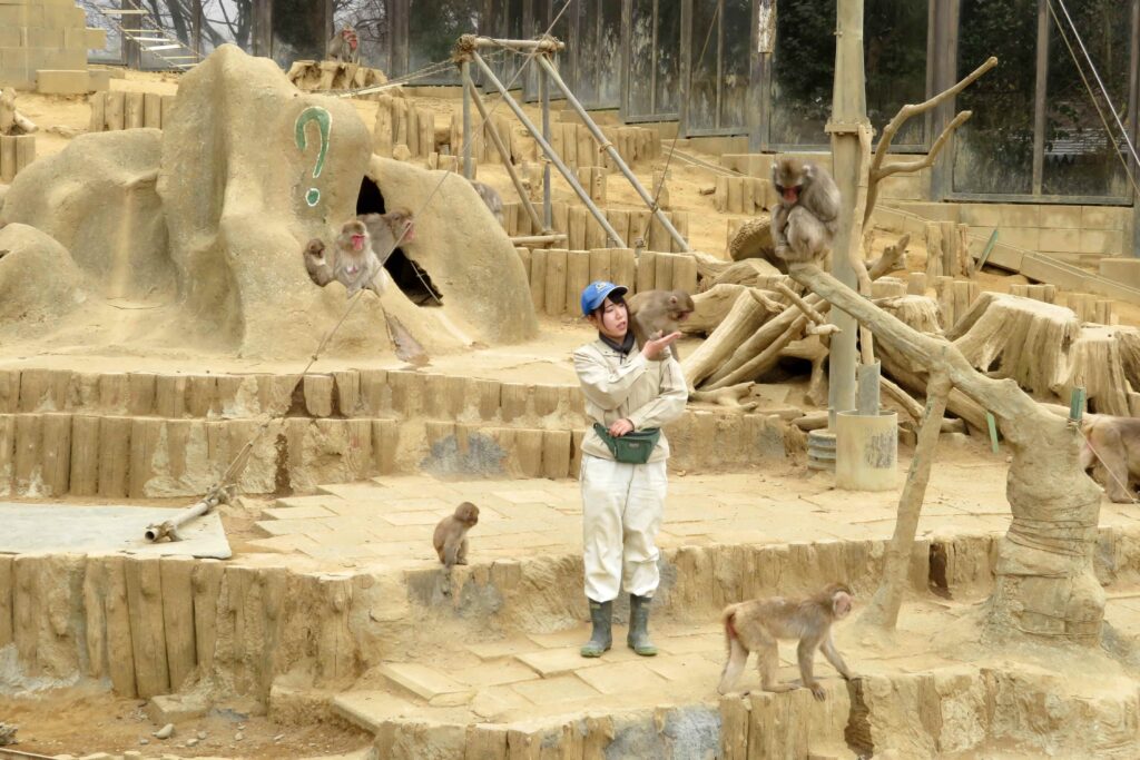 Mt. Takao Monkey Park and Wild Plant Garden