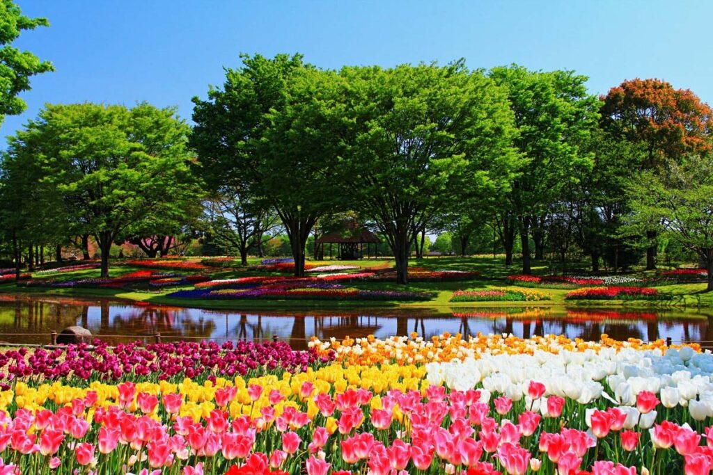 Showa Kinen Park