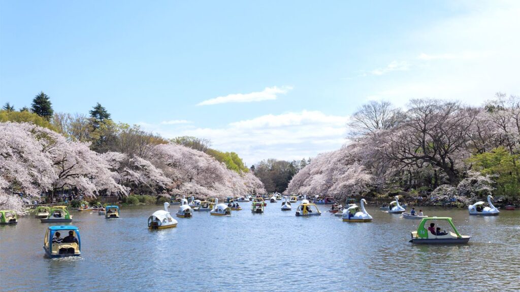 Inokashira Park
