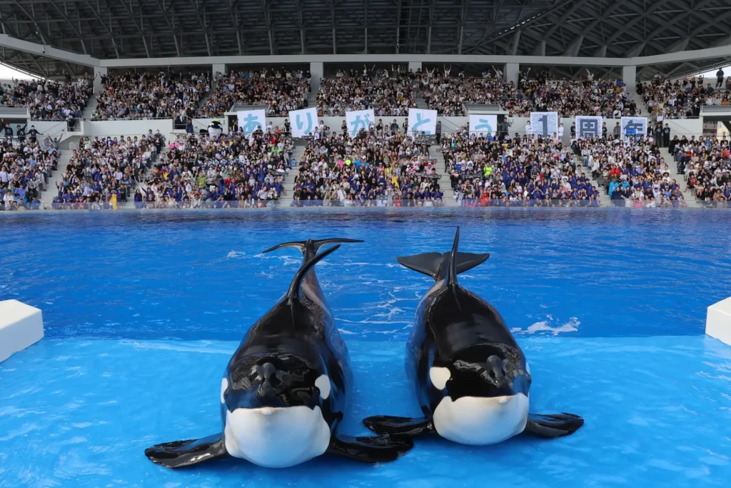 Kobe Suma Seaworld