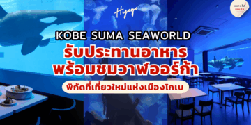 Kobe Suma Seaworld