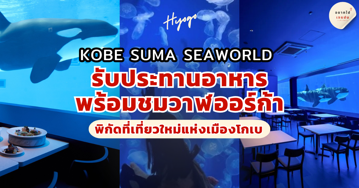 Kobe Suma Seaworld