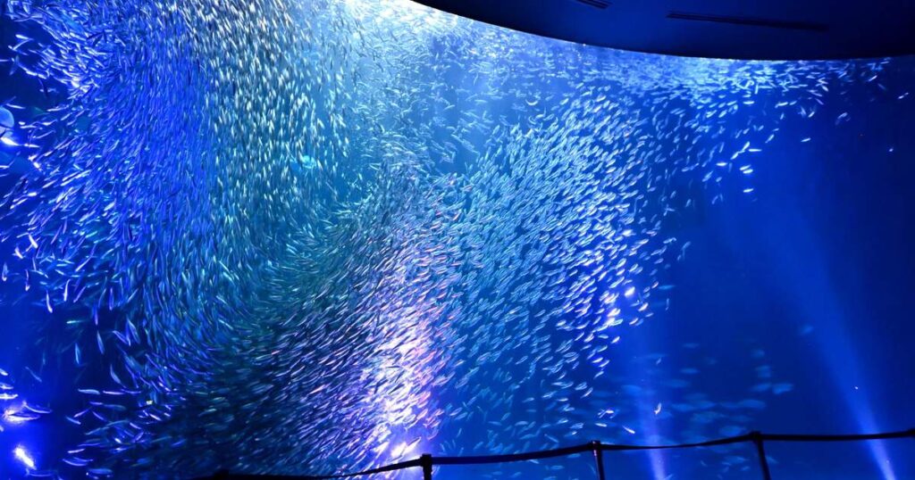พิพิธภัณฑ์สัตว์น้ำท่าเรือนาโกย่า