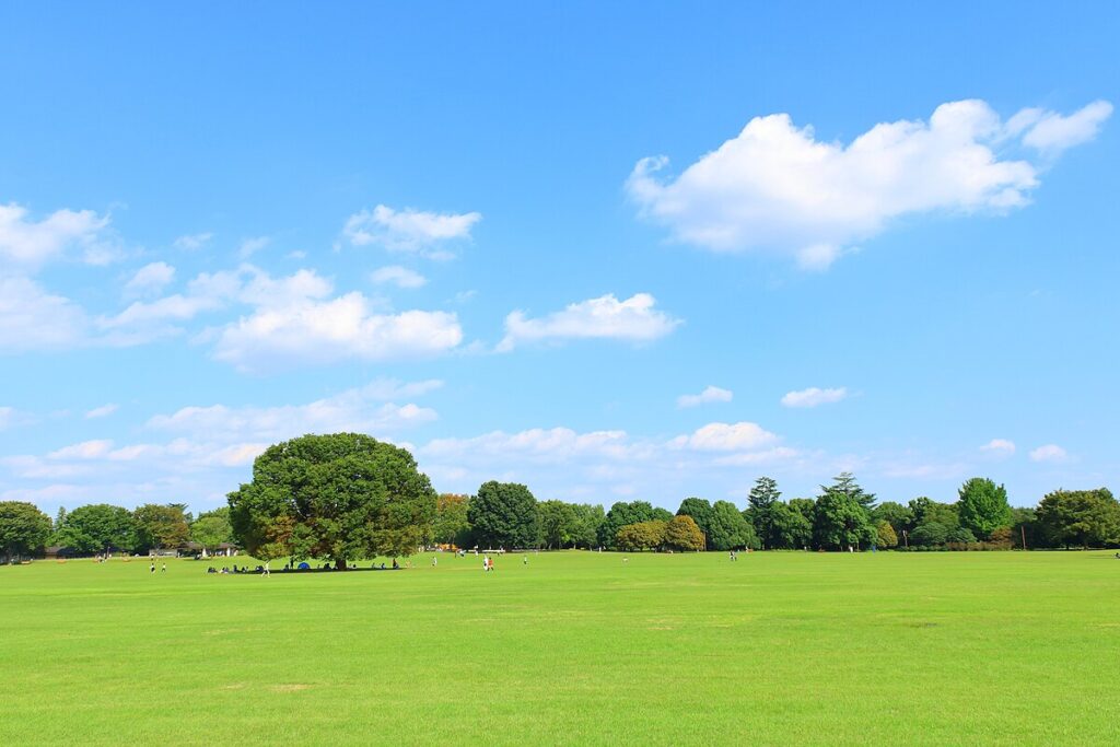 Showa Kinen Park