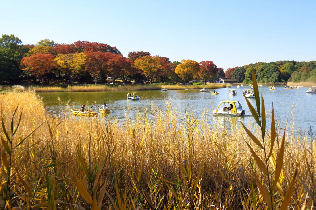 Showa Kinen Park