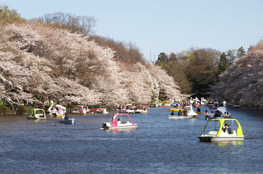 Inokashira Park