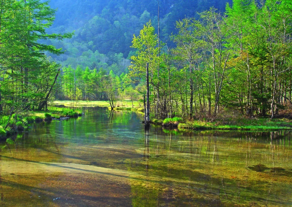 Tashiro Pond