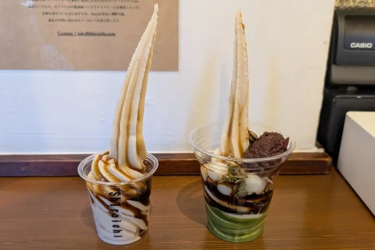 Shiroichi Shibuya