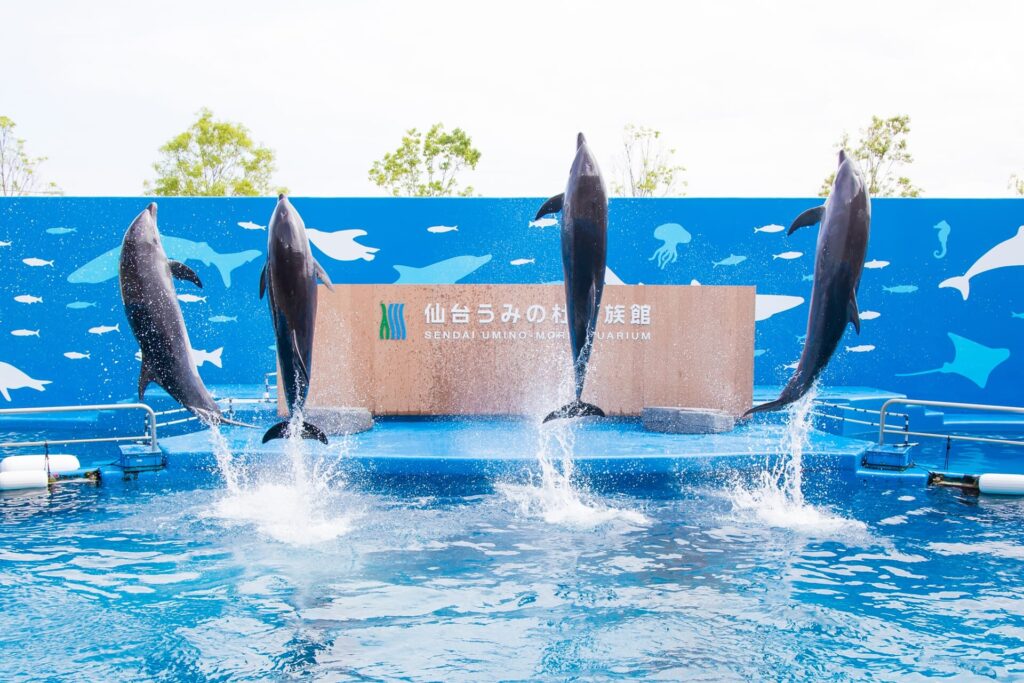 Sendai Umino-Mori Aquarium