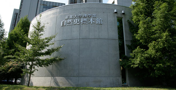 Tohoku University Museum of Natural History