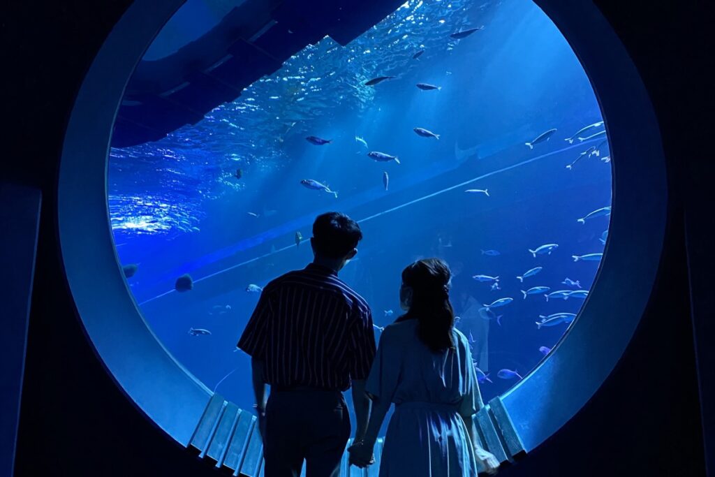 DMM Kariyushi Aquarium