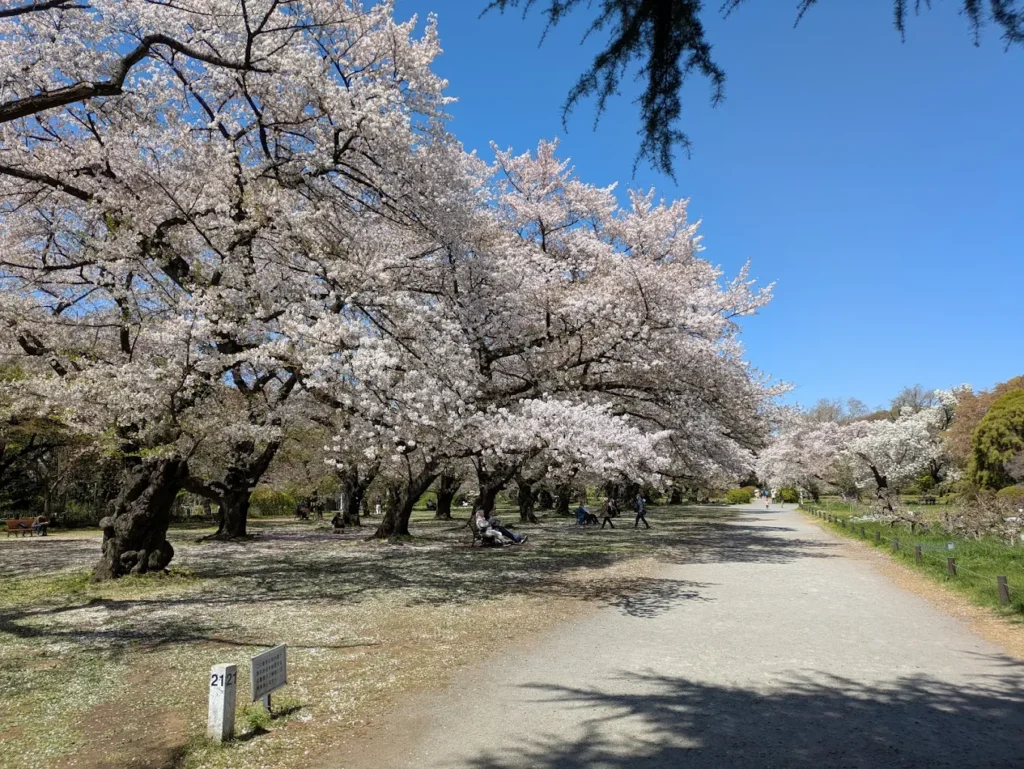 Koishikawa Botanical Garden