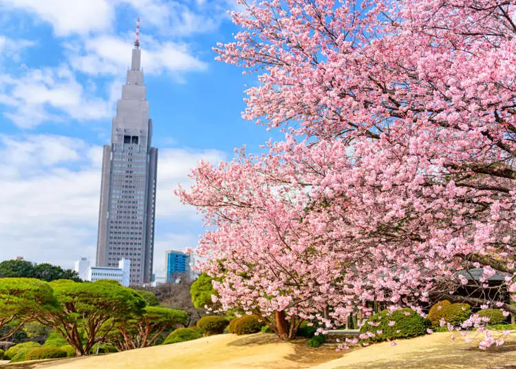 Shinjuku Gyoen