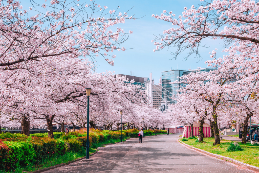 Yoyogi Park