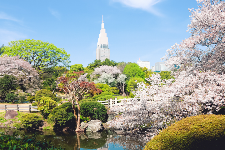 Shinjuku Gyoen