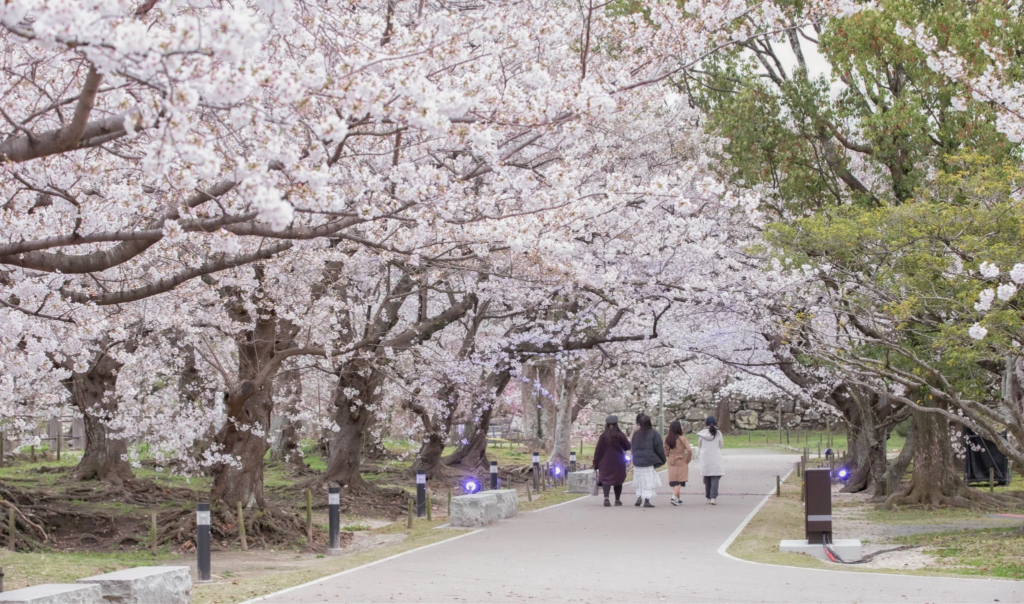 เที่ยวญี่ปุ่น เมษายน