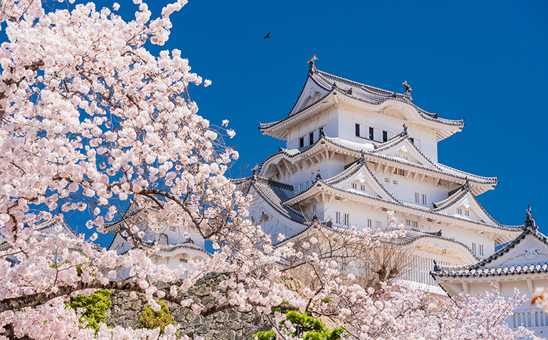 เที่ยวญี่ปุ่น เมษายน