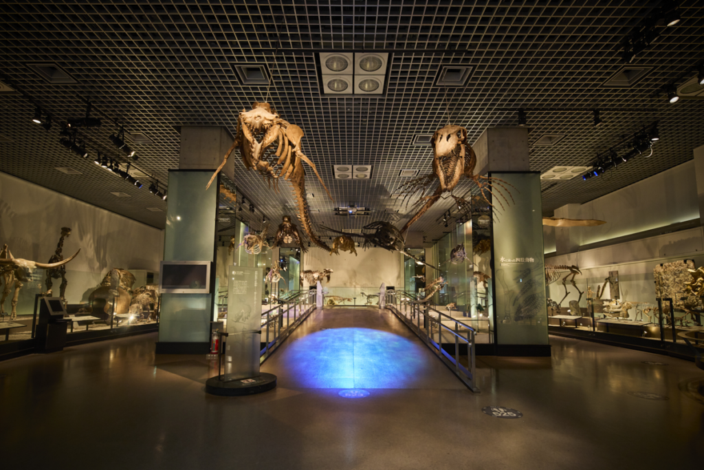 พิพิธภัณฑ์ โตเกียว