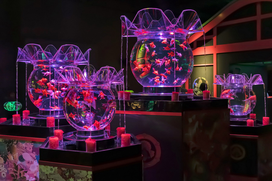 พิพิธภัณฑ์ โตเกียว