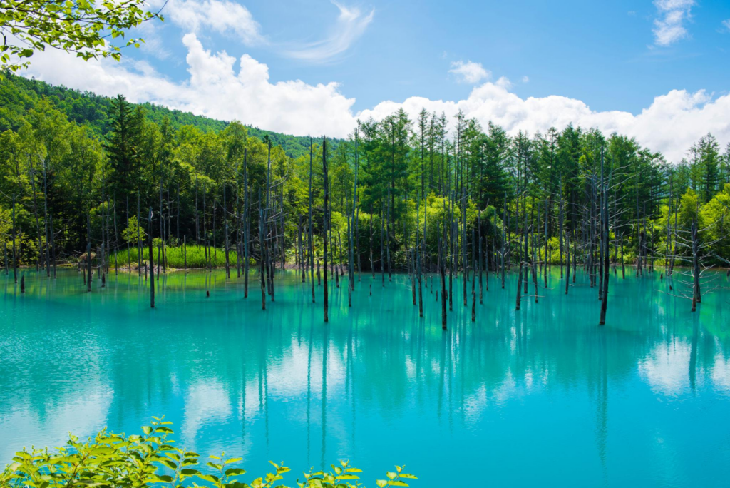 ที่เที่ยวญี่ปุ่น หน้าร้อน