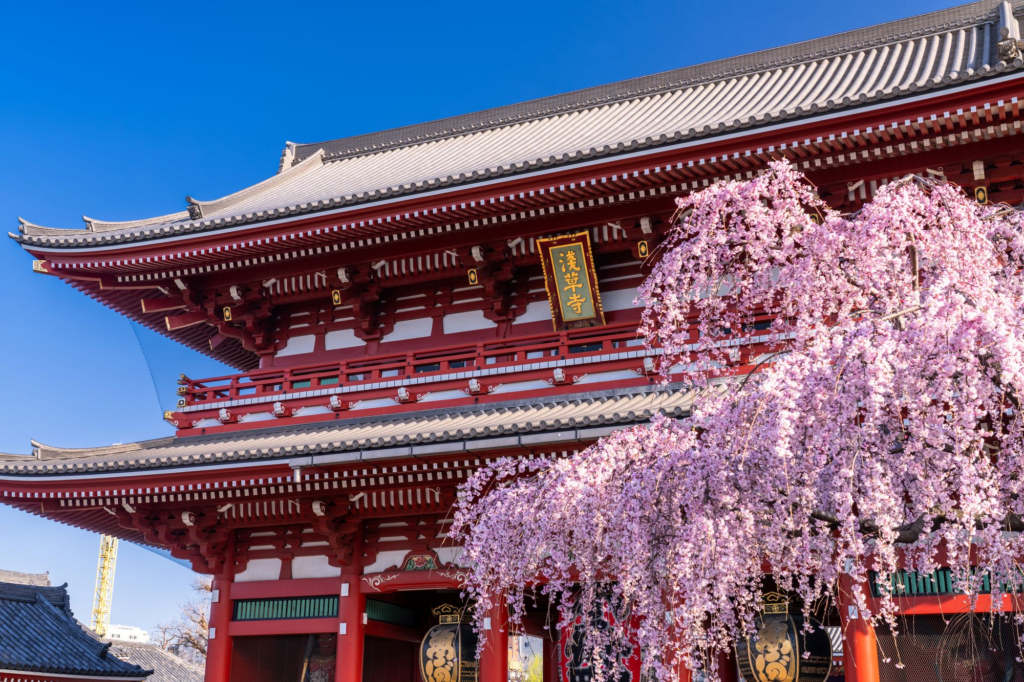 วัดเซ็นโซจิ