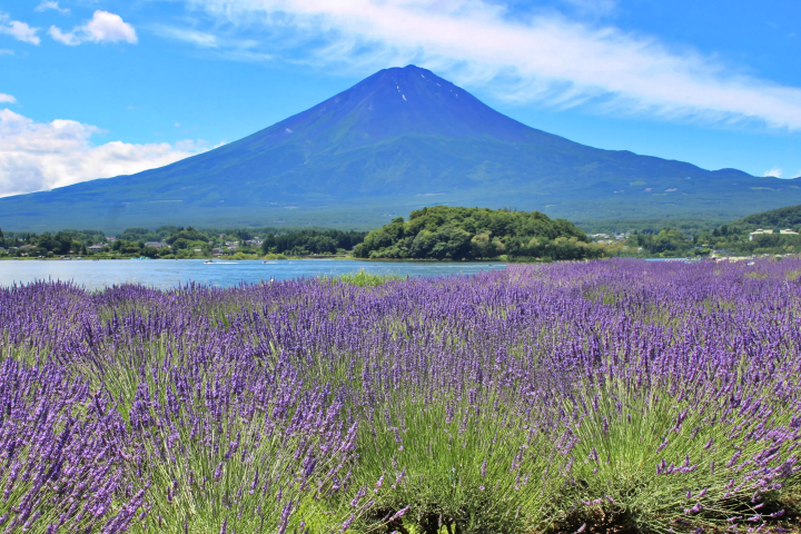 ที่เที่ยวญี่ปุ่น หน้าร้อน