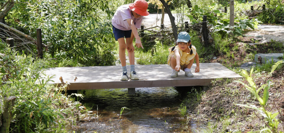 Aquamarine Fukushima