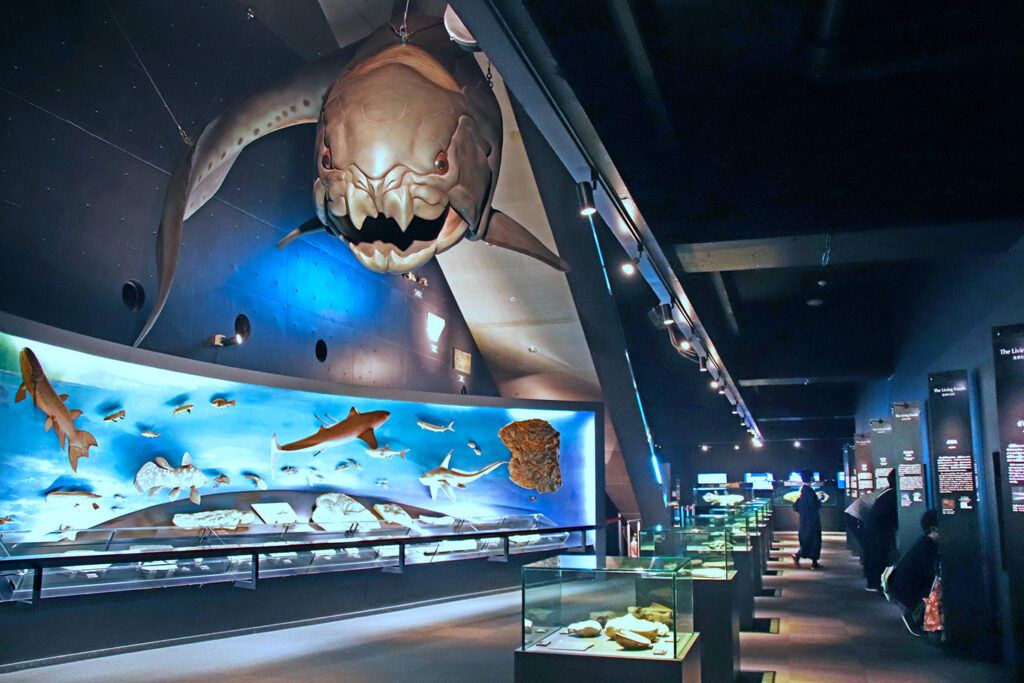 Aquamarine Fukushima