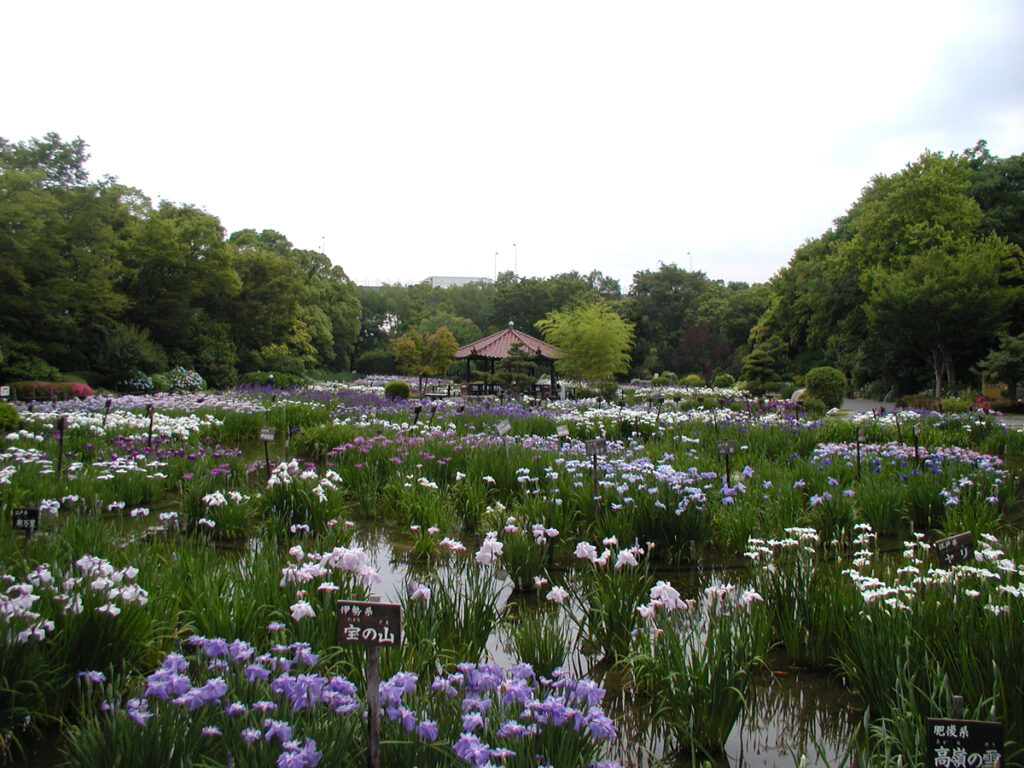 Shirokita Park