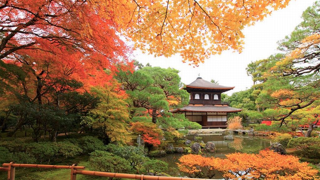 เกียวโต ใบไม้เปลี่ยนสี