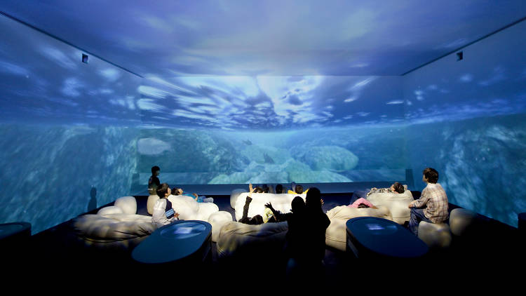 พิพิธภัณฑ์ โตเกียว