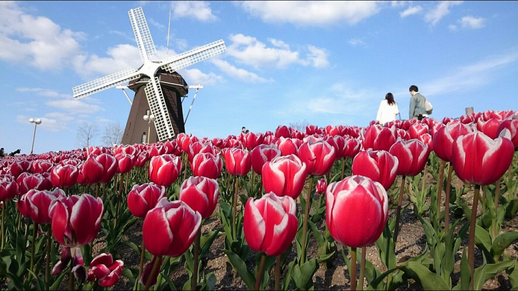 Tsurumi Ryokuchi Park