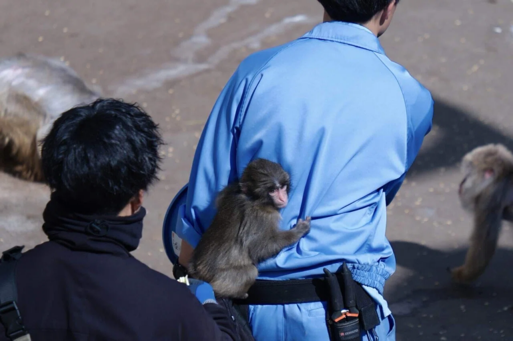 Ichikawa City Zoo