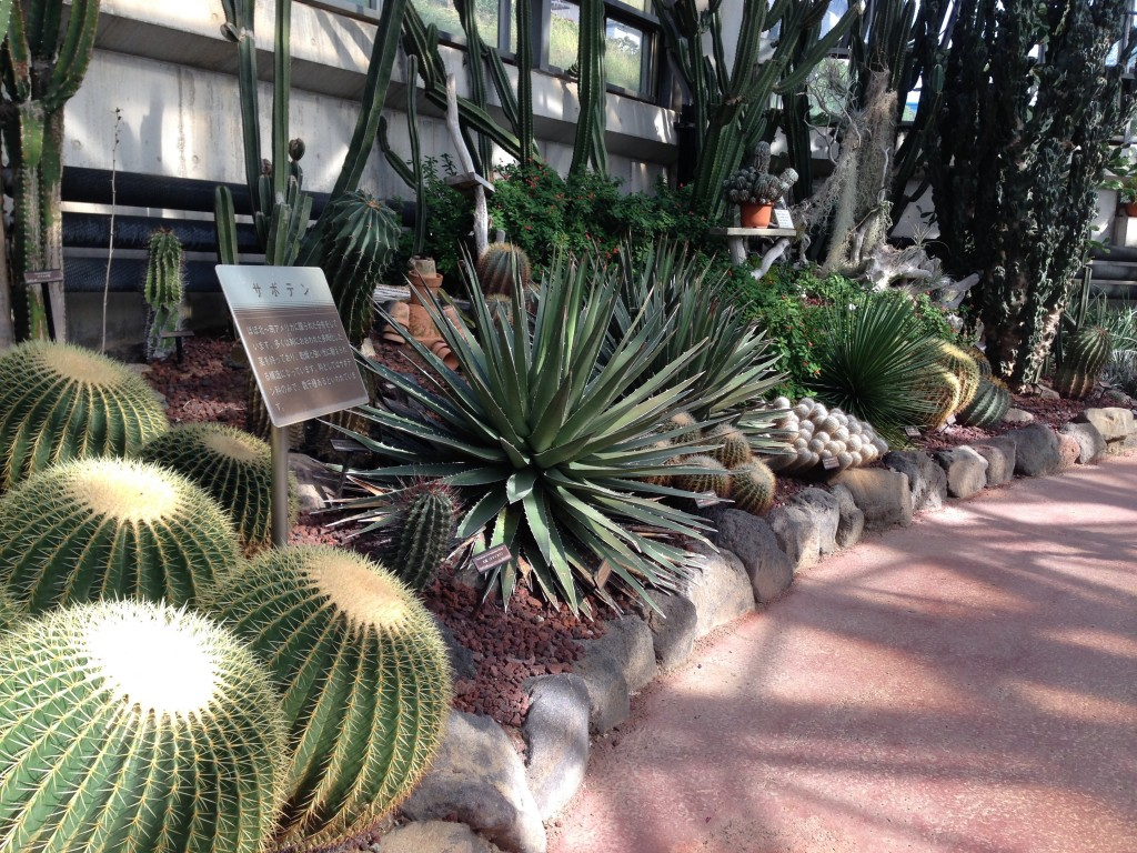 Ichikawa Botanical Gardens