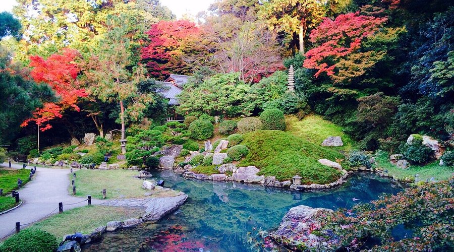 เกียวโต ใบไม้เปลี่ยนสี